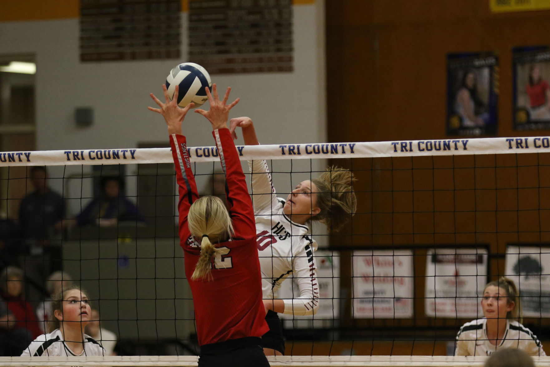 Volleyball (27).JPG
